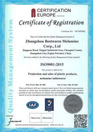 iso 9001