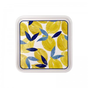 Summer Lemon Fruit Print Square Melamine Dinner plates