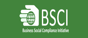 bsci-logo-888A6C14DB-seeklogo.com